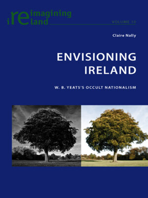 cover image of Envisioning Ireland